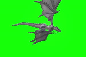 4K 银色蝙蝠龙飞翔下面 绿幕视频素材 绿布视频手机特效图片