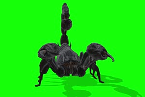黑蝎子 特效牛 绿幕素材 抠像视频 后期特效素材手机特效图片