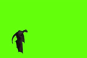 黑色翼龙飞侧面2 绿幕视频 绿幕素材 剪映抠像素