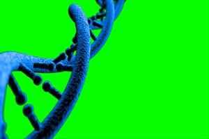 DNA绿幕 基因密码 生物密码 抠像素材 7 绿幕视频手机特效图片