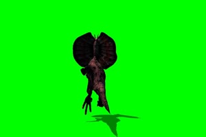 猛禽恐龙  绿屏抠像素材