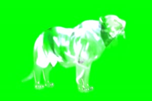 鬼魂 狮子 绿幕绿屏 特效素材手机特效图片