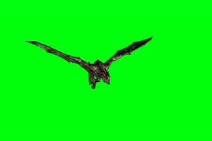 飞龙 翼龙 龙 3 绿屏抠像素绿布和绿幕视频抠像素材
