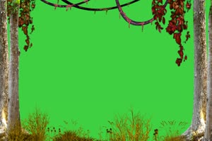 树叶 藤蔓 唯美风景 绿幕抠像视频素材手机特效图片