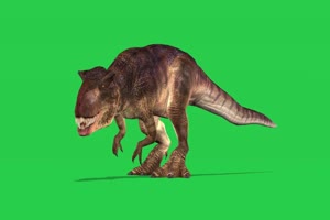 火恐龙1 绿屏动物 特效视频 抠像视频 巧影ae素材手机特效图片