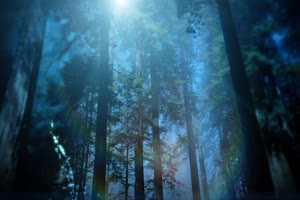 绿野森林 巧影 AE 背景素材手机特效图片