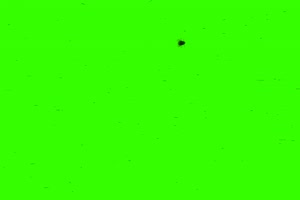 超级多的苍蝇 巧影ae绿屏抠像素材手机特效图片