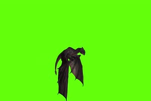 黑色翼龙侧面1 绿幕视频 绿幕素材 剪映抠像素材