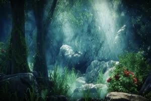 唯美森林 梦幻森林 仙境 背景视频下载18手机特效图片