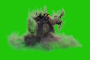 16邪恶的来自地狱的西方龙 绿幕特效 无水印 绿幕素材