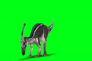 独角恐龙 绿屏动物 特效视频 抠像视频 巧影ae素手机特效图片