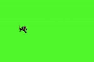 派克2 英雄联盟绿幕素材 LOL绿幕素材手机特效图片