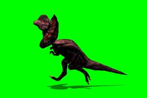 猛禽恐龙  绿屏抠像素材 3恐龙 免费下载 巧影A手机特效图片