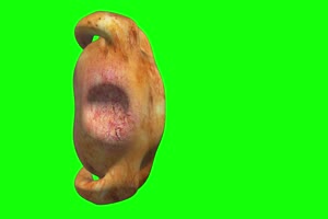 一只烤鸡 食物 绿屏绿幕视频素材 特效牛抠像素