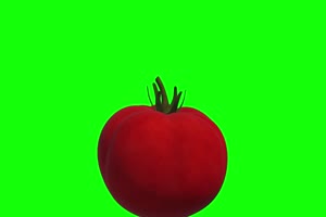 一个西红柿 食物 绿屏绿幕