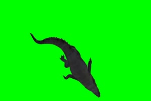 鳄鱼 10 绿屏抠像 特效素材 免费下载