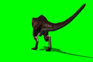 霸王龙 恐龙 绿屏抠像素材 1 免费下载手机特效图片