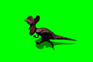 猛禽恐龙  绿屏抠像素材 6恐龙 免费下载 巧影A手机特效图片