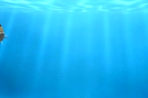 水底海底海洋水下特效视频背景素材007@特效牛素