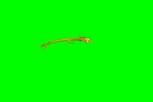 龙01 飞龙 中国龙 绿屏抠像素材带声音 巧影AE手机特效图片