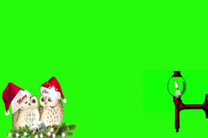 圣诞节猫头鹰和蜡烛绿屏