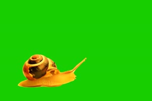 蜗牛2 绿屏抠像素材