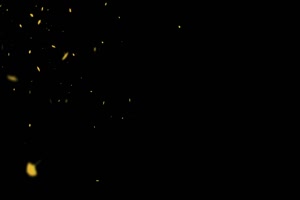 银杏粒子远景 武侠特效 抠像素材 黑幕视频 剪映手机特效图片