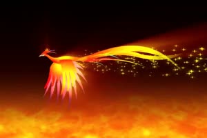 飞过的火色凤凰 抠像素材 视频特效手机特效图片
