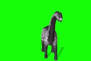 蜥脚恐龙龙 特效牛 绿幕素材 抠像视频 后期特效手机特效图片