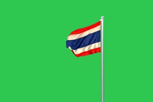 泰国 国旗绿幕后期抠像视