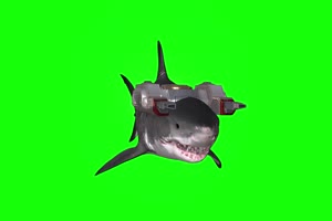 激光器 激光枪 鲨鱼1 动物绿屏 绿幕视频 抠像素手机特效图片