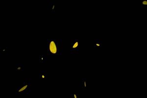 落叶粒子近景 武侠特效 抠像素材 特效视频 不带手机特效图片
