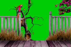 唯美花园 小鸟2 风景背景视频 绿幕视频素材手机特效图片