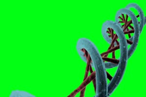 DNA绿幕 基因密码 生物密码 抠像素材 3 绿幕视频手机特效图片