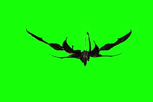 鸟怪1 动物绿屏 绿幕视频 抠像素材下载手机特效图片