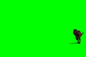 霸王龙 恐龙 绿屏抠像素材