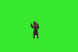 大黑熊与猫 动物绿幕视频素材下载 @特效牛绿幕手机特效图片