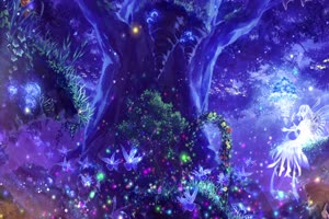 唯美森林 梦幻森林 仙境 背景视频下载6手机特效图片