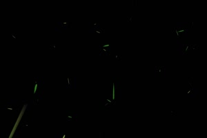 竹叶粒子 武侠特效 抠像素材 黑幕视频 剪映素材手机特效图片