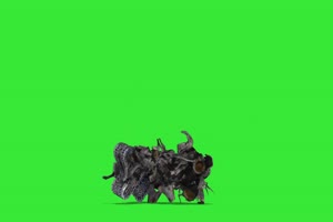 黑旋风机器人1 机器人 视频特效 绿幕素材 抠像通手机特效图片