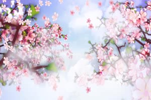 桃花 三生三世 世外桃源绿布和绿幕视频抠像素材