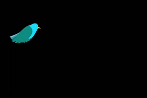 4K 动画开通鸟免费下载 飞鸟绿幕视频 真实鸟类绿手机特效图片