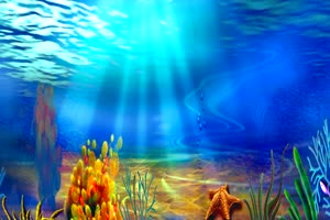 水族馆水底海底海洋水下绿布和绿幕视频抠像素材